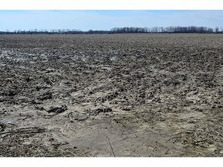 Property photo 33 - LAND AUCTION - 215+/- ACRES OFFERED IN 6 TRACTS IN VAN WERT COUNTY, OHIO